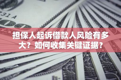 武汉担保人起诉借款人风险有多大？如何收集关键证据？
