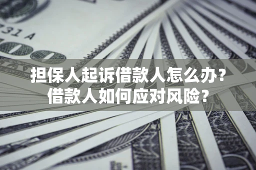 武汉担保人起诉借款人怎么办？借款人如何应对风险？
